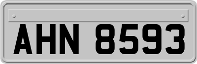AHN8593