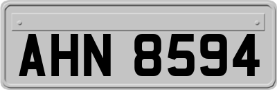 AHN8594