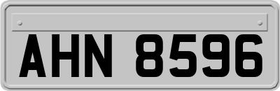 AHN8596