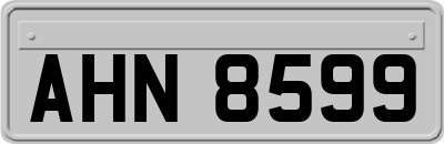 AHN8599