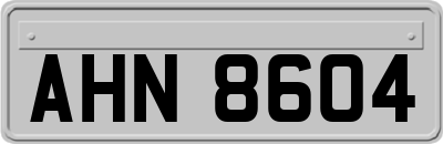 AHN8604