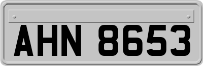 AHN8653