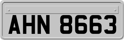AHN8663