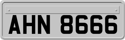AHN8666