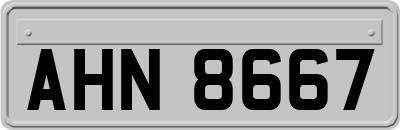 AHN8667