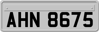 AHN8675