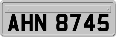 AHN8745