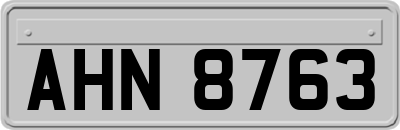 AHN8763