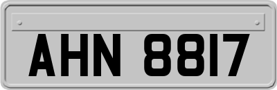 AHN8817