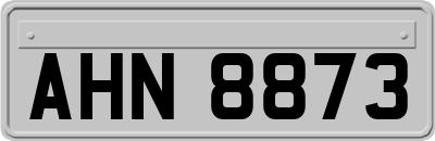 AHN8873