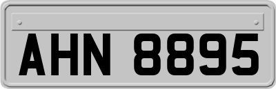 AHN8895