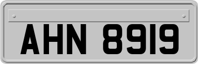 AHN8919