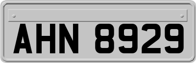 AHN8929