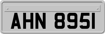 AHN8951