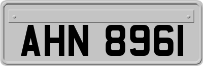 AHN8961