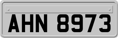 AHN8973
