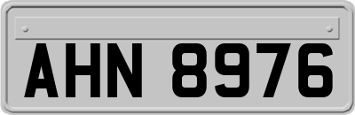 AHN8976