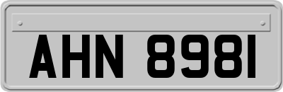 AHN8981