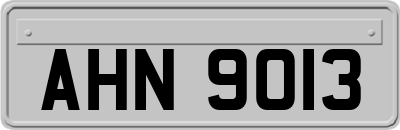 AHN9013