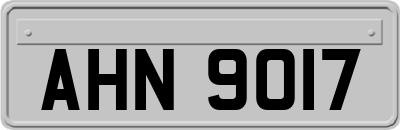 AHN9017