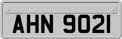 AHN9021