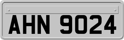 AHN9024