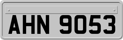 AHN9053