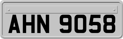 AHN9058
