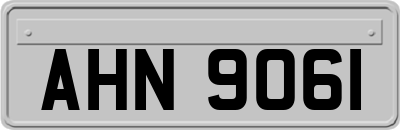AHN9061