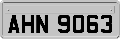 AHN9063