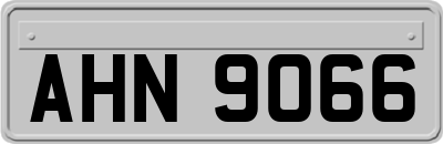 AHN9066