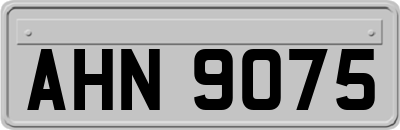 AHN9075