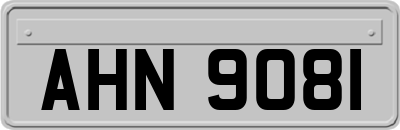 AHN9081