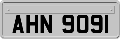 AHN9091