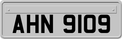 AHN9109
