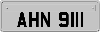 AHN9111