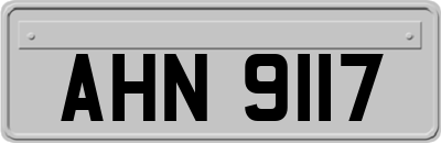 AHN9117