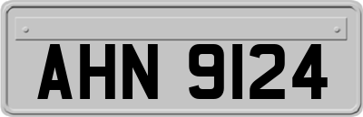 AHN9124