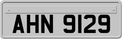AHN9129
