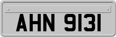 AHN9131