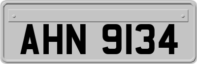 AHN9134