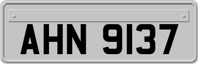 AHN9137