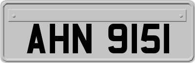 AHN9151