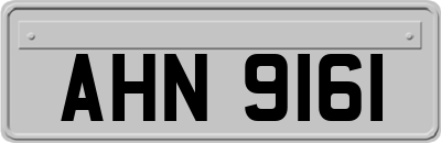 AHN9161