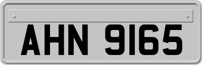 AHN9165