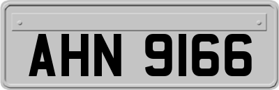 AHN9166