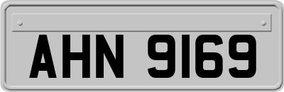 AHN9169