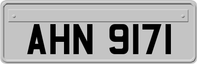 AHN9171