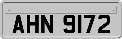 AHN9172