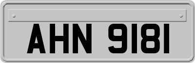 AHN9181